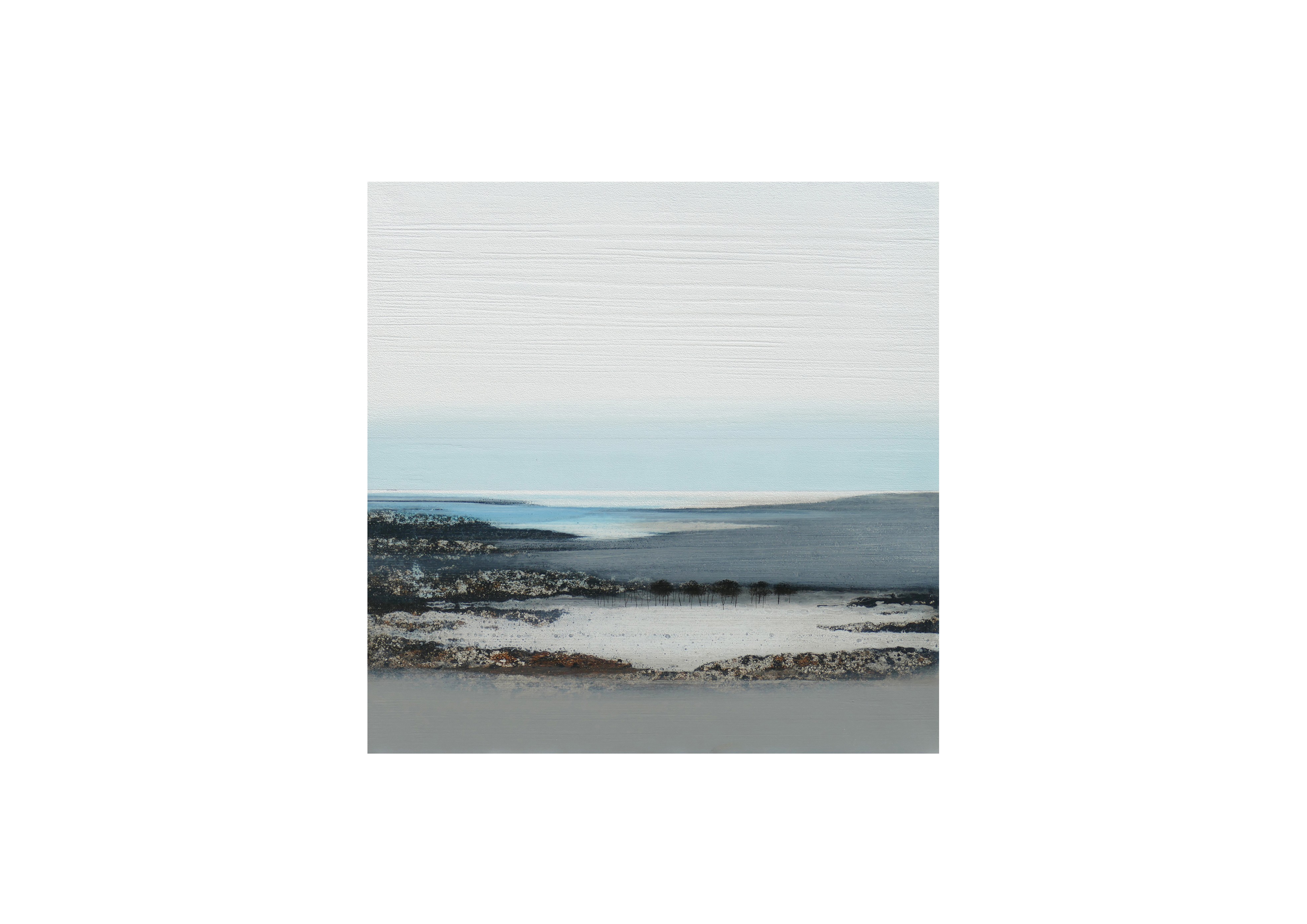 B1079 . 50x50
