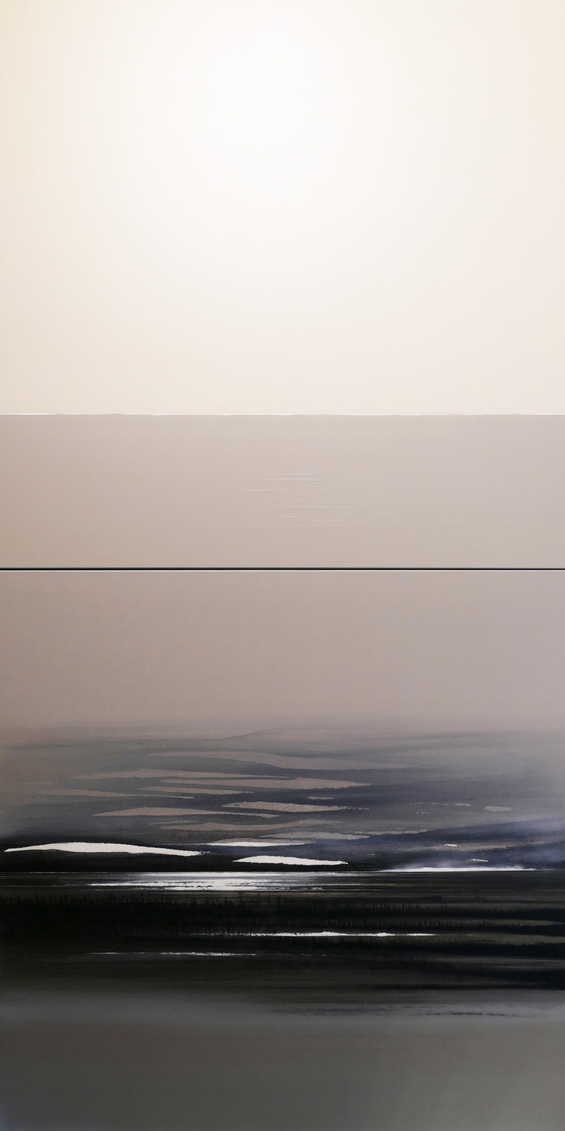 B1119 . 200x100
