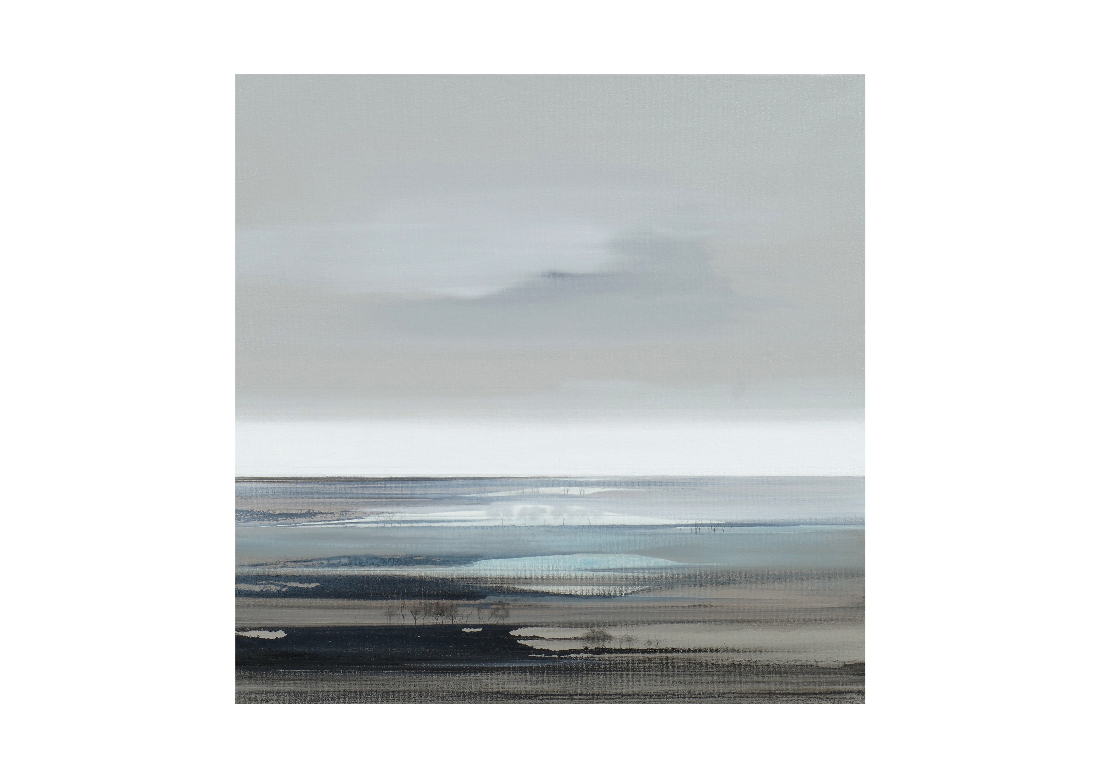 B1161 . 80x80