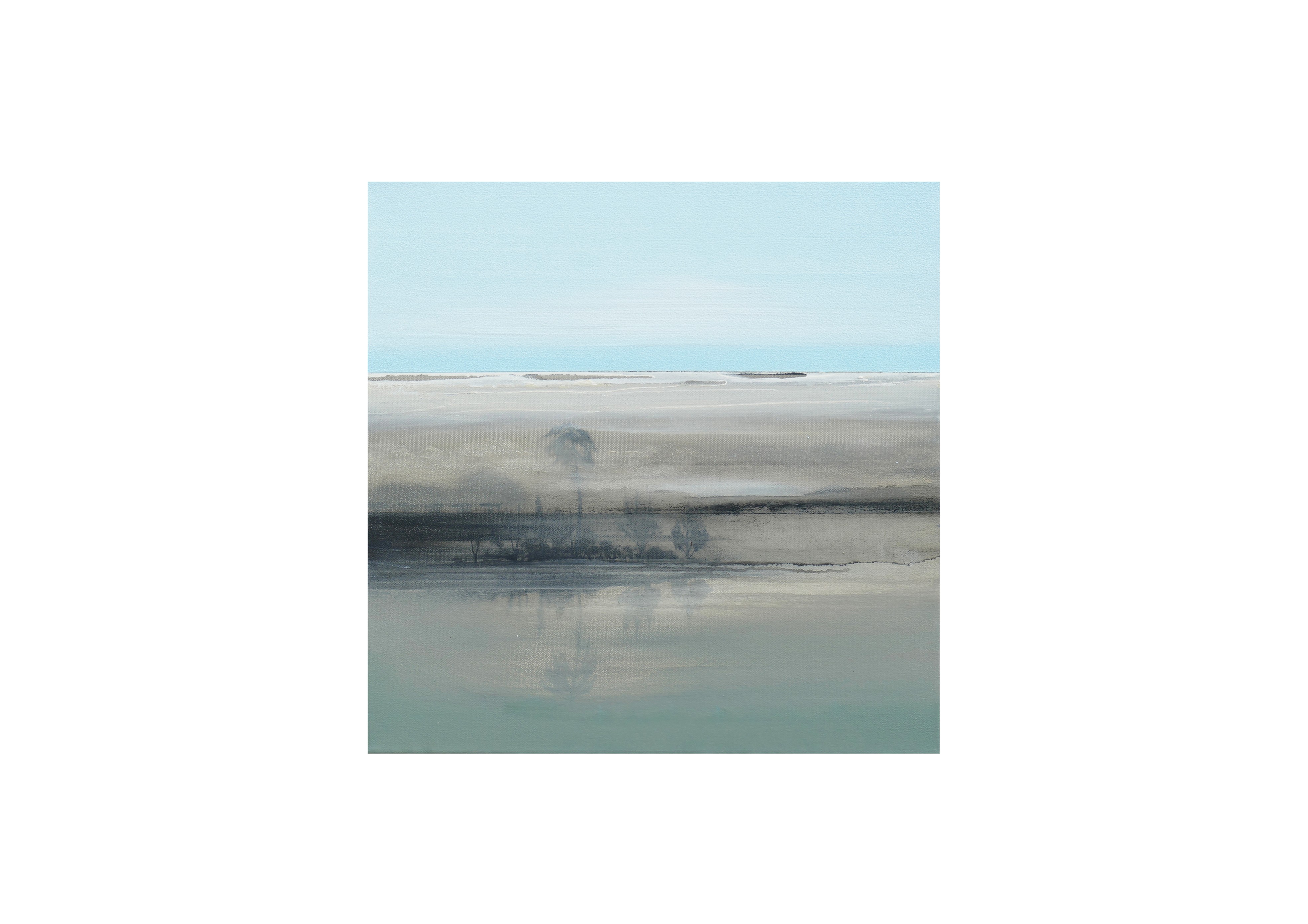 B1243 . 50x50
