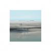 B1243 . 50x50