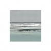 B1249 . 50x50