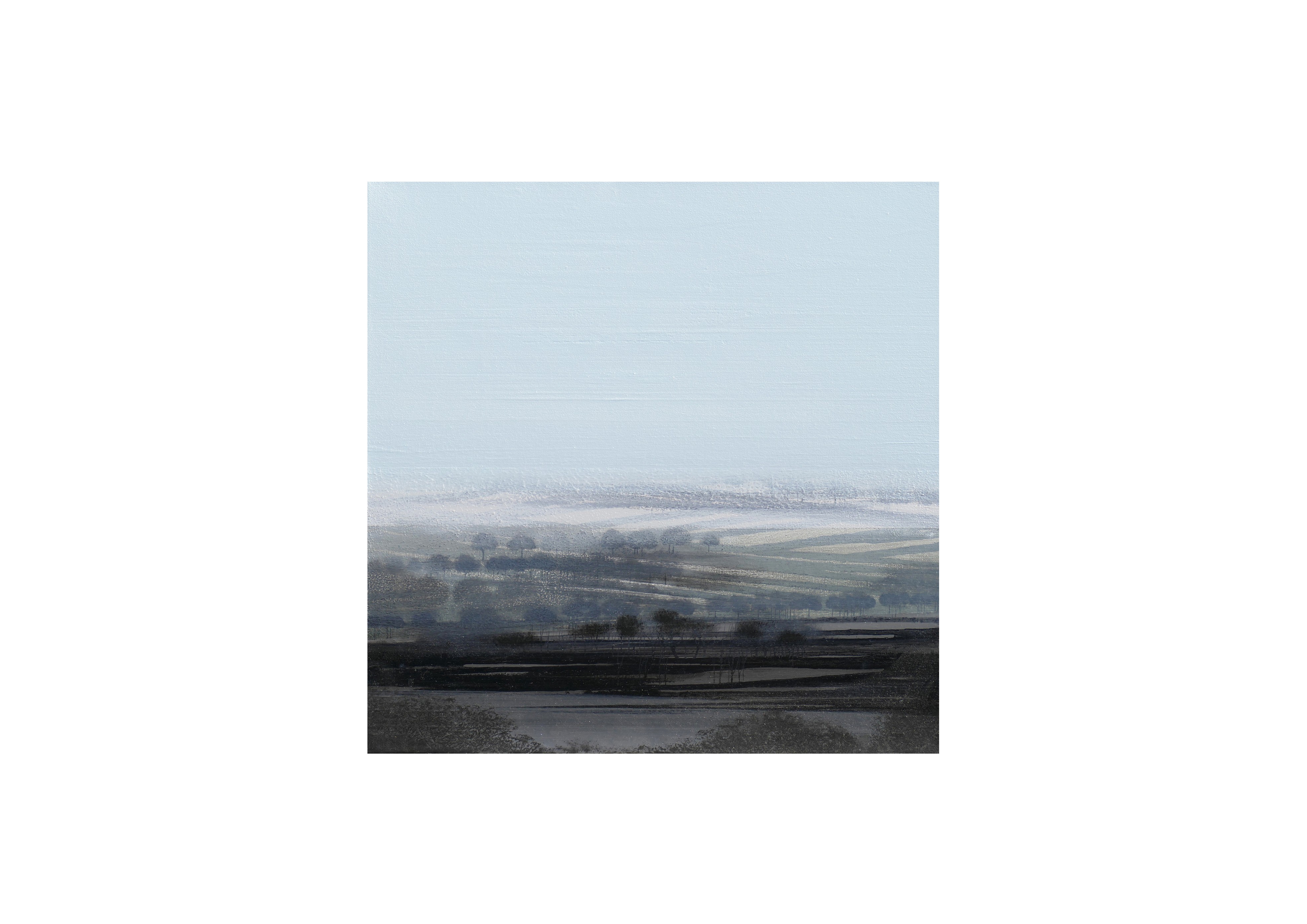 B1251 . 50x50