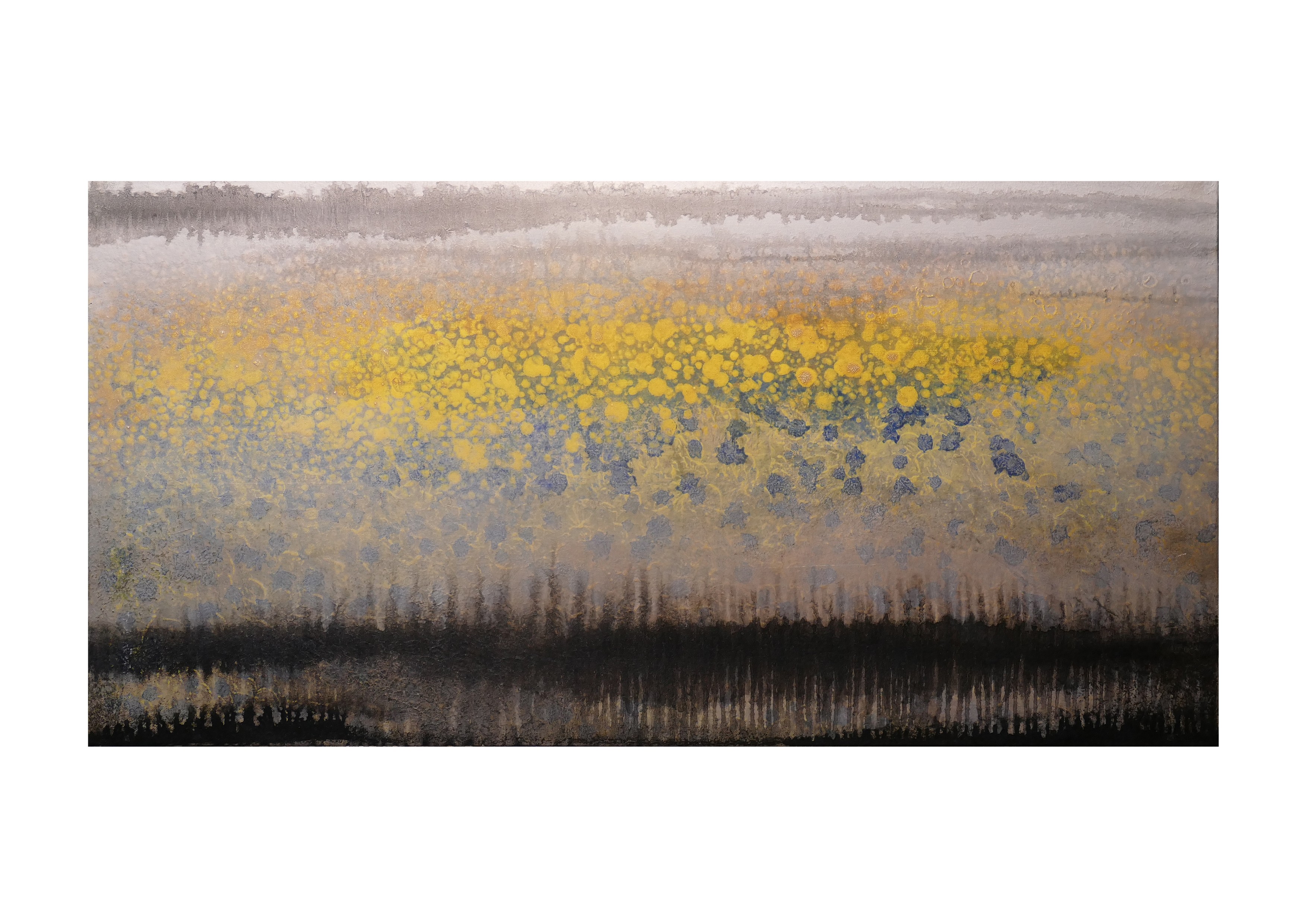 B538 . 50x100