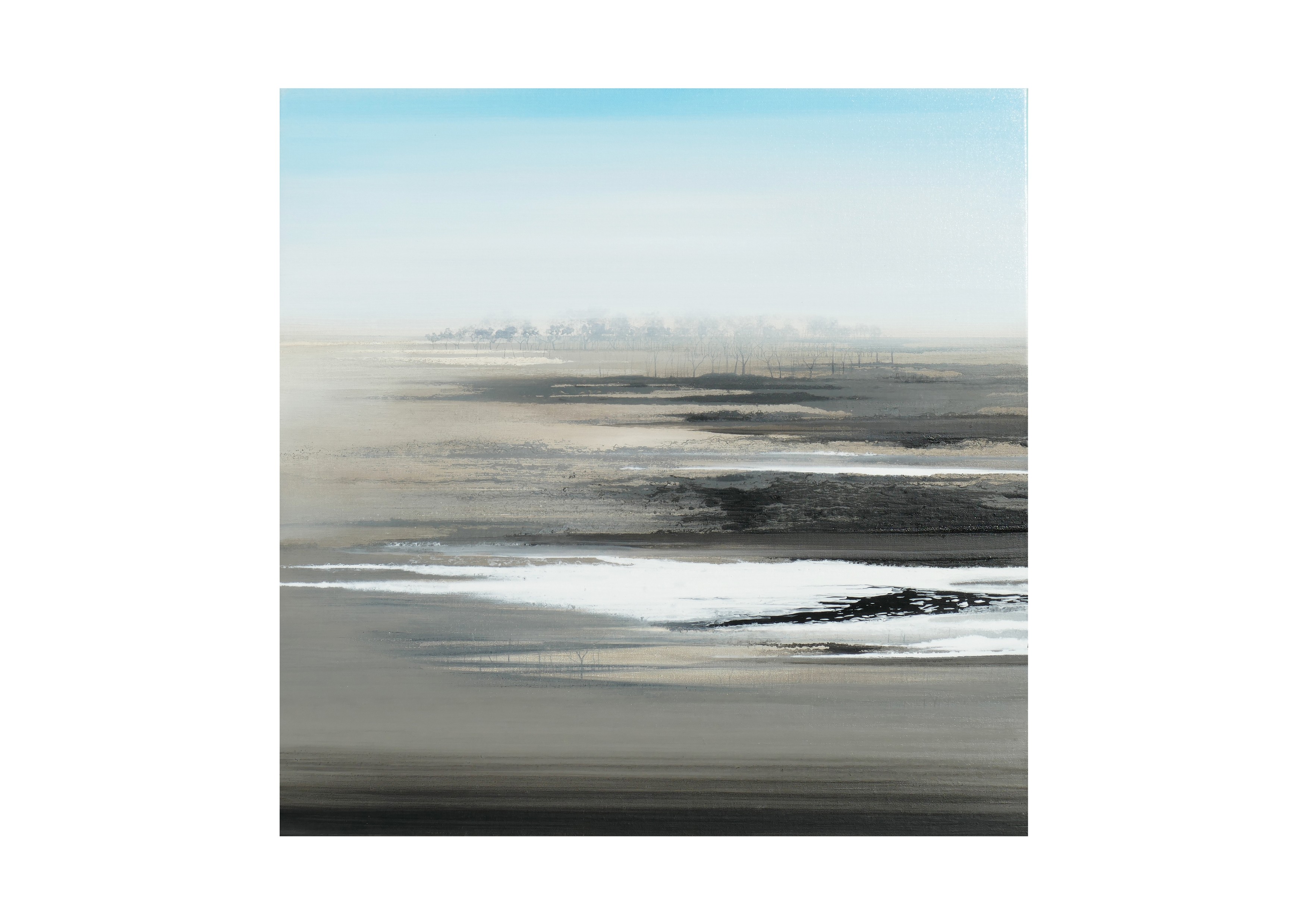 B665 . 80x80