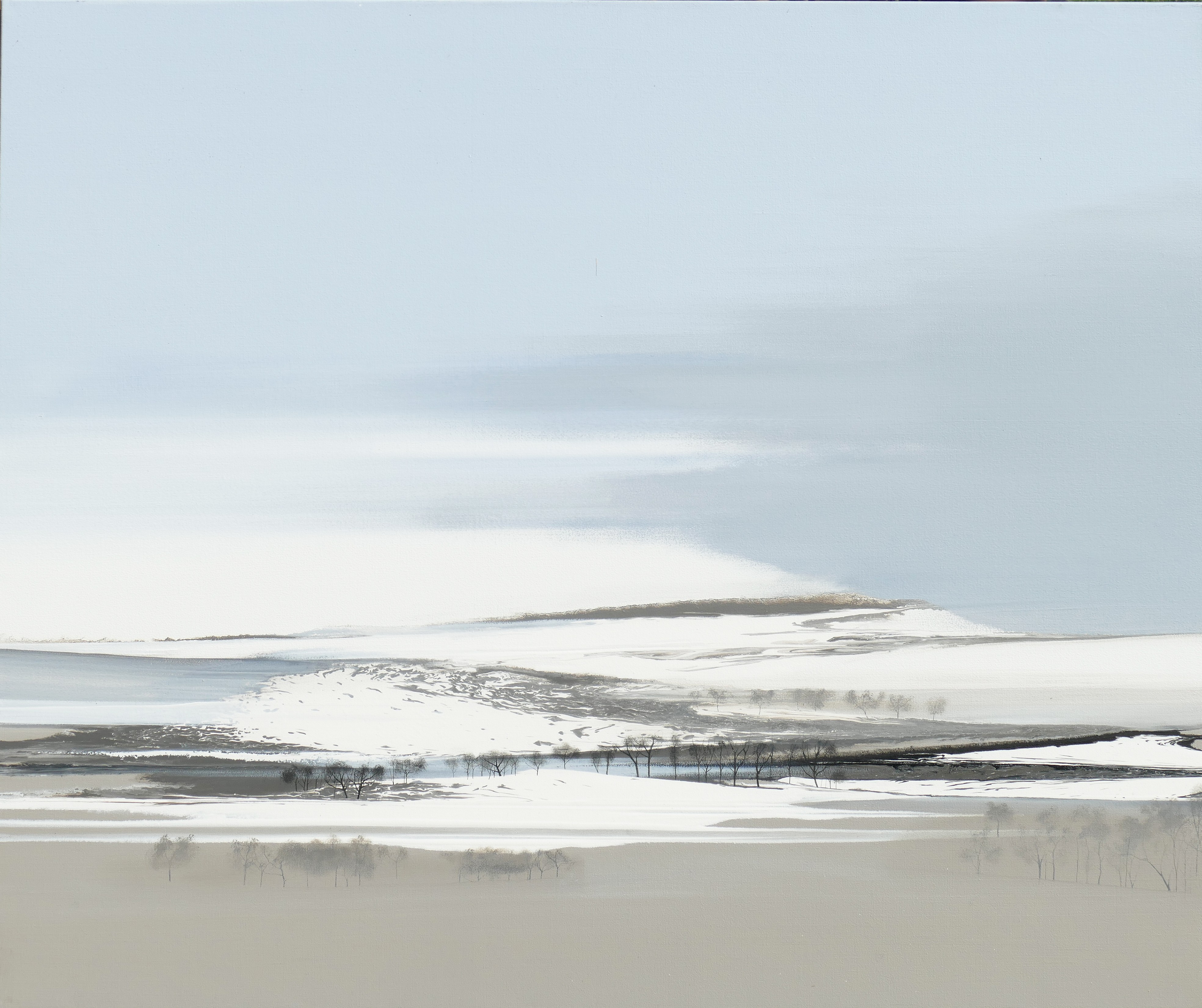 B1165 . 100x120
