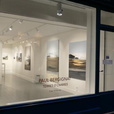 galerie cyril guernieri . paris